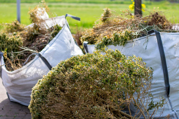 Best Electronics Removal Services  in Goodyear, AZ